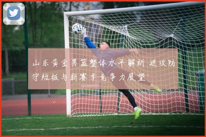山东黄金男篮整体水平解析 进攻防守短板与新赛季竞争力展望
