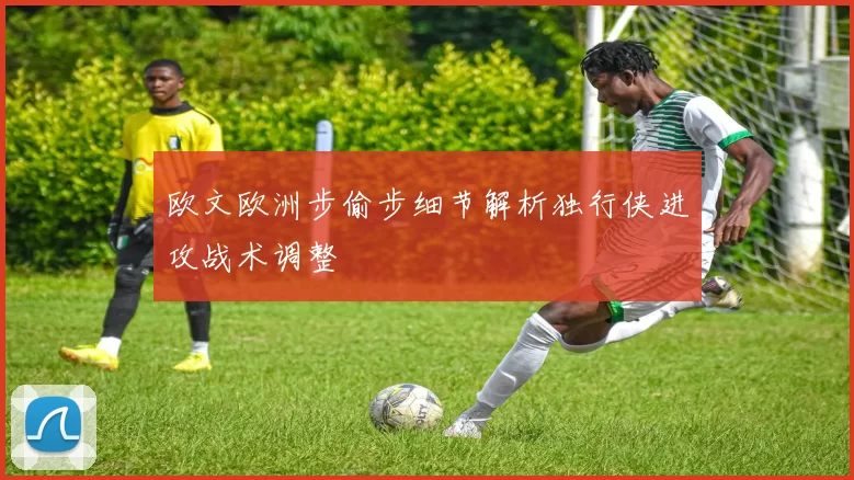 欧文欧洲步偷步细节解析独行侠进攻战术调整