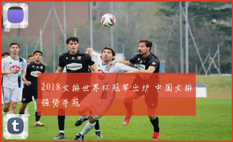 2018女排世界杯冠军出炉 中国女排强势夺冠