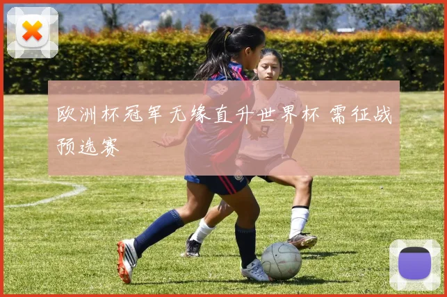 欧洲杯冠军无缘直升世界杯 需征战预选赛